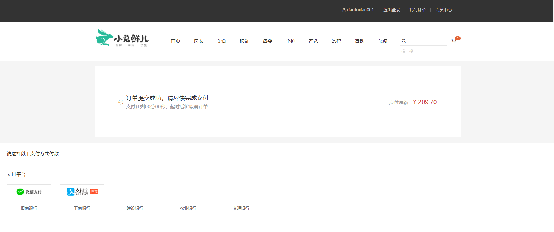 等待支付页面
