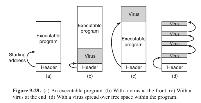 virus rooted in executable program
