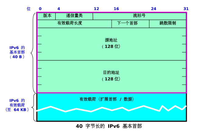 IP 数据报的格式