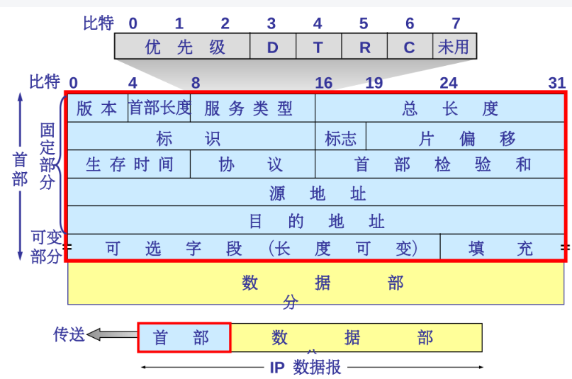 IP 数据报的格式