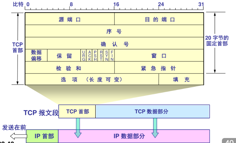 TCP 报文结构