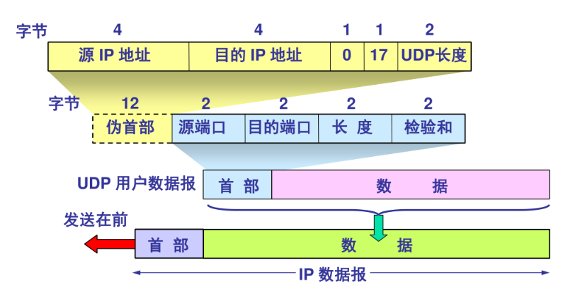 UDP 的结构