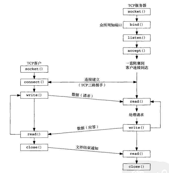 基本 TCP 客户端/服务器常用函数